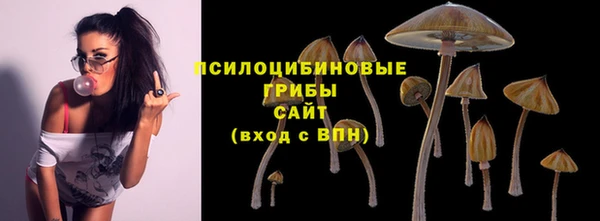 скорость Горняк