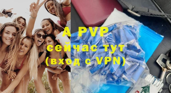 дживик Вяземский