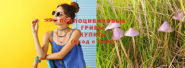 синтетический гашиш Гусиноозёрск