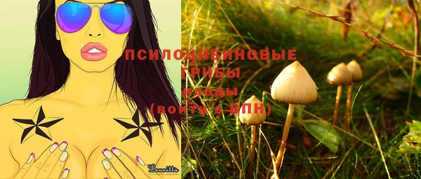дмт Вязьма