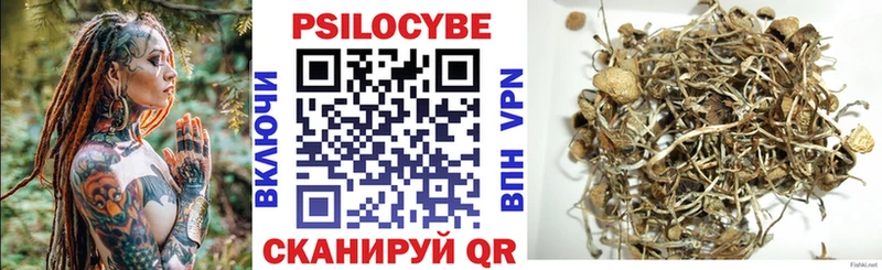 Галлюциногенные грибы Psilocybine cubensis Енисейск