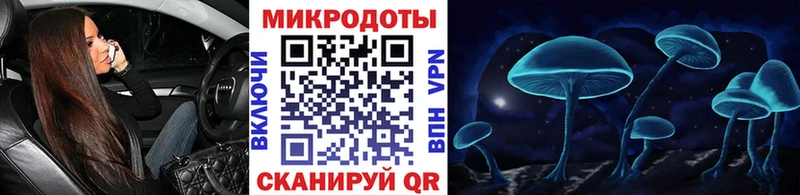Псилоцибиновые грибы Psilocybe  Енисейск 